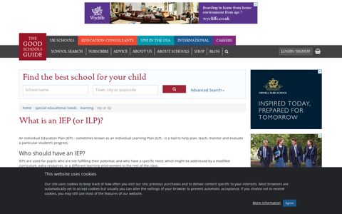 What is an IEP (or ILP)? | The Good Schools Guide