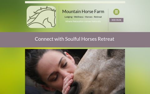 Connect with Soulful Horses Retreat - Mountain Horse Farm
