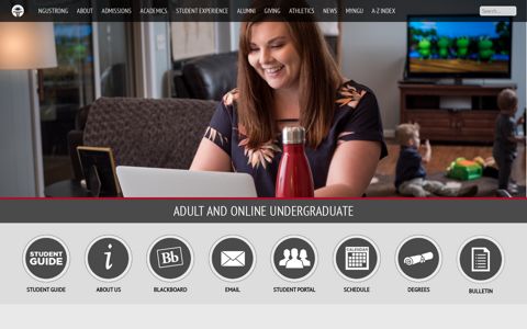 NGU Online - North Greenville University