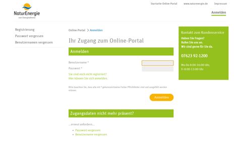 Ihr Zugang zum Online-Portal - Energiedienst