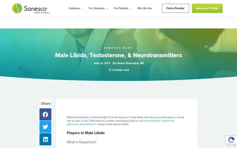 Male Libido, Testosterone, & Neurotransmitters | Sanesco
