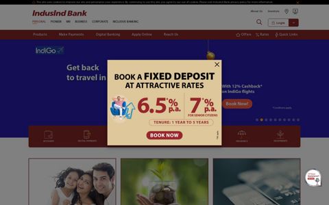 IndusInd Bank: Personal Banking, NRI Banking, Personal ...