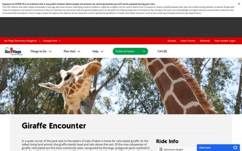 Giraffe Encounter | Six Flags Discovery Kingdom