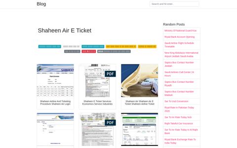Shaheen Air E Ticket