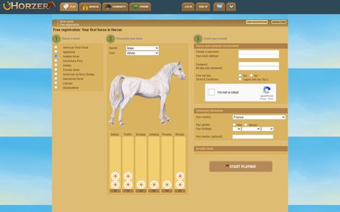 the horse game, play with a virtual horse - Horzer
