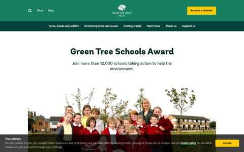 Take part in the Green Tree Schools Award - Woodland Trust