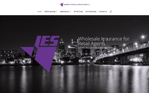 Indemnity Excess and Surplus Agency Inc.: IES