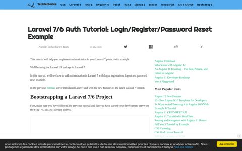 Laravel 7/6 Auth Tutorial: Login/Register/Password Reset ...