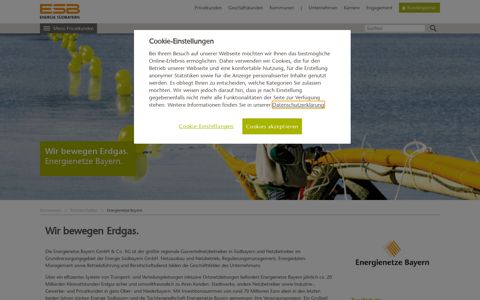 Energienetze Bayern - Partnerschaften - Kommunen - ESB
