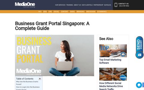 Business Grant Portal Singapore: A Complete Guide
