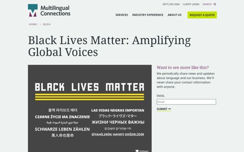 Black Lives Matter: Amplifying Global Voices - Multilingual ...