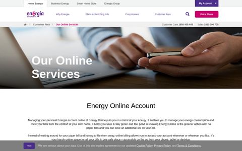Our Online Services - Customer Area - Energia