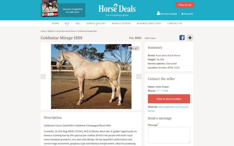 Goldmine Mirage HSH | Australian Stock Horse | Stallion ...