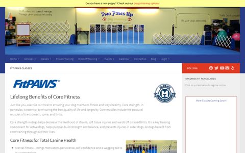 Fit PAWS Classes – Two Paws Up Dog Training