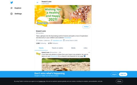 Insect Lore (@insectlore) | Twitter