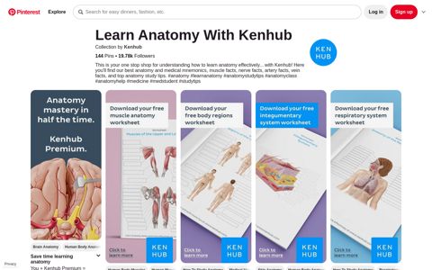 100+ Learn Anatomy With Kenhub ideas | anatomy, medical ...