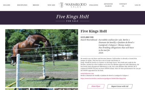 Five Kings HsH | Warmblood Sales