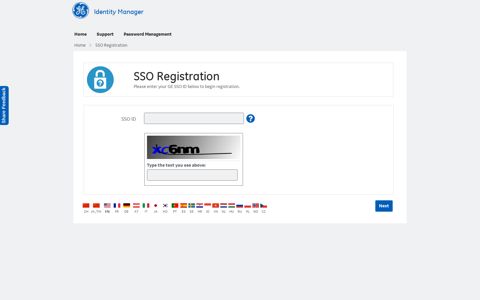 SSO Registration - GE Password Management
