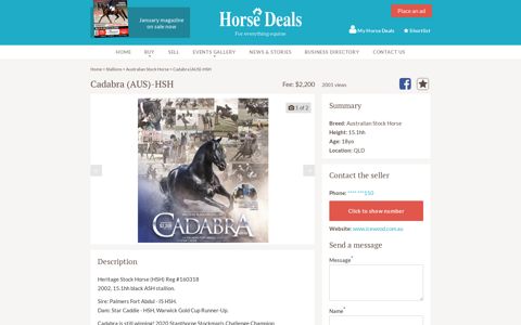 Cadabra (AUS)-HSH | Australian Stock Horse | Stallion ...