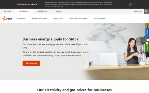 Business Energy Suppliers | Gas and Electricity for SMEs | EDF