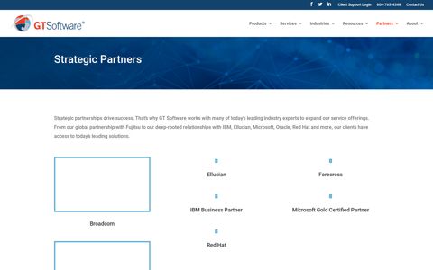 Strategic Partners - GT Software