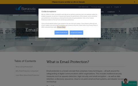 What is Email Protection? | Barracuda Networks