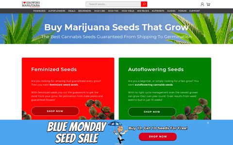 Buy Feminized & Autoflower Marijuana Seeds Online >> ILGM