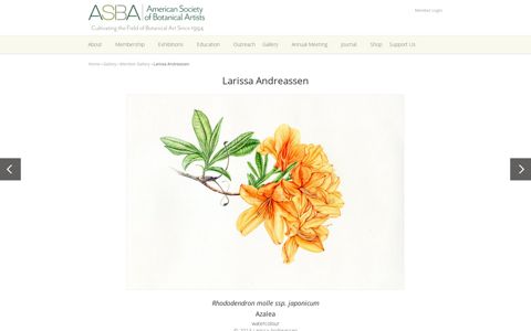 Larissa Andreassen | American Society of Botanical Artists