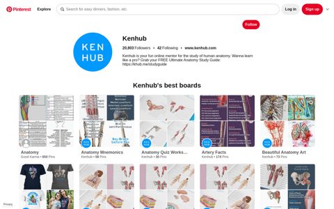 Kenhub - Learn Human Anatomy (kenhub_official) on Pinterest
