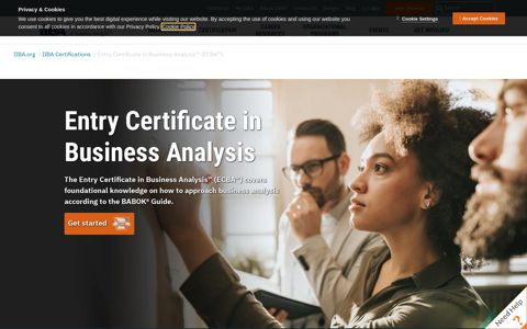 Entry Certificate in Business Analysis™ (ECBA™) - IIBA