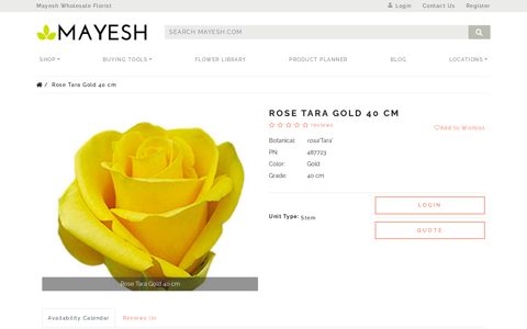 Rose Tara Gold 40 cm | Mayesh