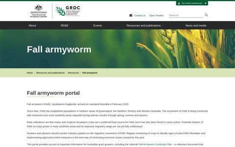 Fall armyworm - GRDC