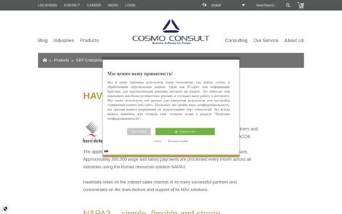 haveldata GmbH | COSMO CONSULT
