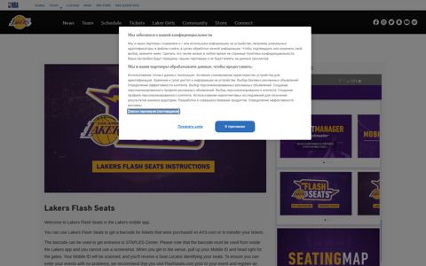 Lakers Flash Seats | Los Angeles Lakers - NBA.com
