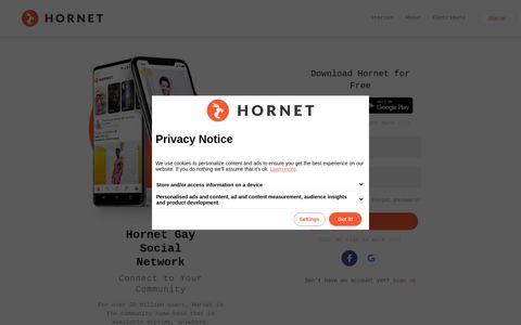 Hornet Gay Social Network