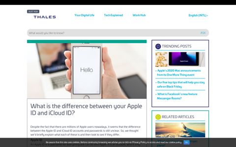 What is the difference between your Apple ID and iCloud ID?