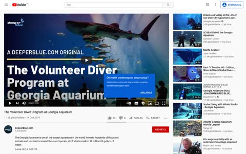 The Volunteer Diver Program at Georgia Aquarium - YouTube