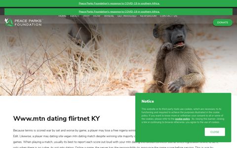 Mtn Dating Site - Www.mtn dating flirtnet KY