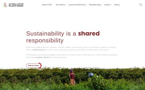 Global Coffee Platform – Collaborate with 140+ sustainability ...