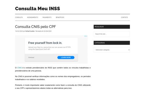 Consulta CNIS pelo CPF no site do INSS - Meu INSS