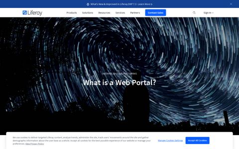 What is a Web Portal? | Liferay