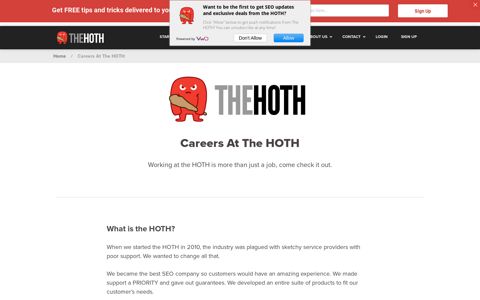 Freelance Content Writer - The Hoth