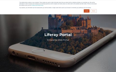 LIferay Enterprise Web Portal | Liferay CMS - Extra Group