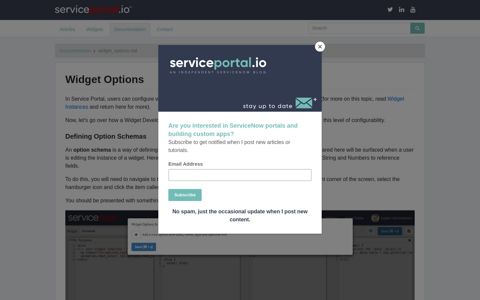 Widget Options - Service Portal Documentation