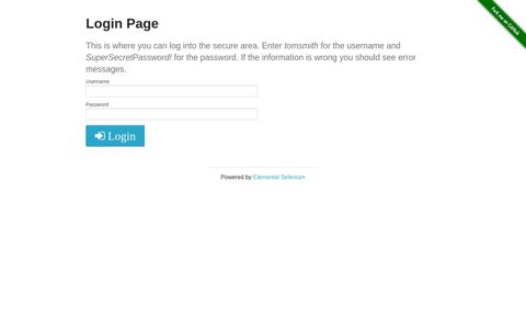 Login Page - The Internet