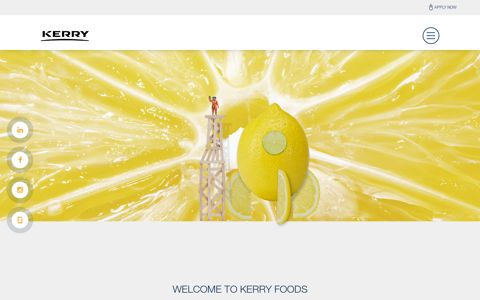 Kerry Foods: Home