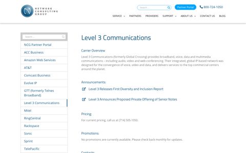 Level 3 Communications – Network Consulting Group