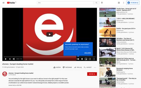 ehorses - Europe's leading horse market - YouTube