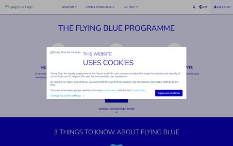 the flying blue programme