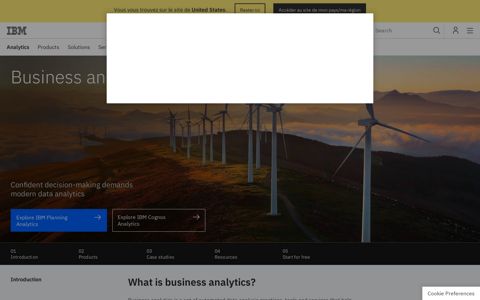 Business Analytics | IBM